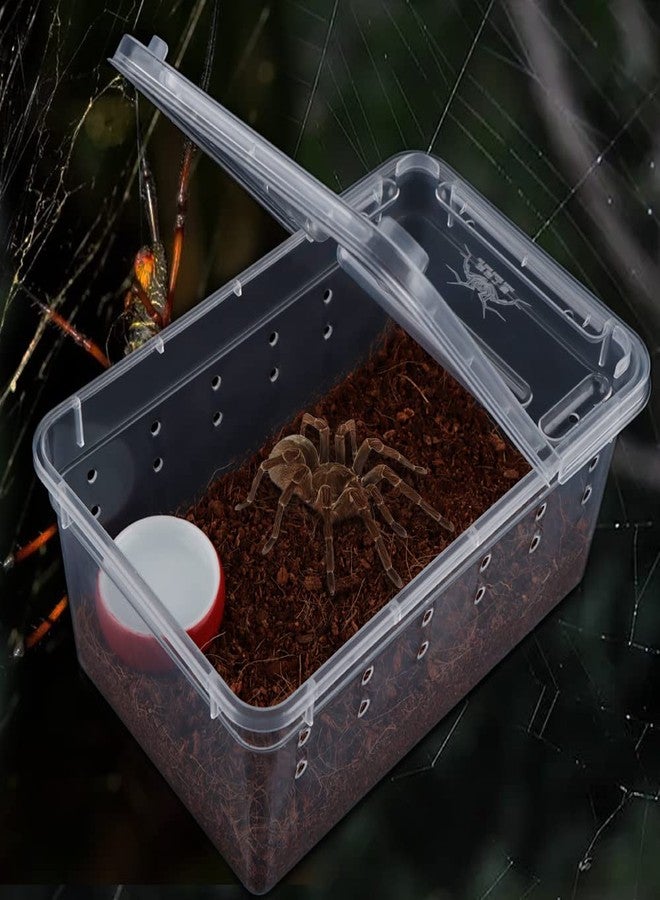 DQITJ 5 Pcs Spider Small Terrariums Breeding Box Transparent Hatching Container Plastic Feeding Box for Small Reptile Spider Scorpion Centipede Insect - Image 2